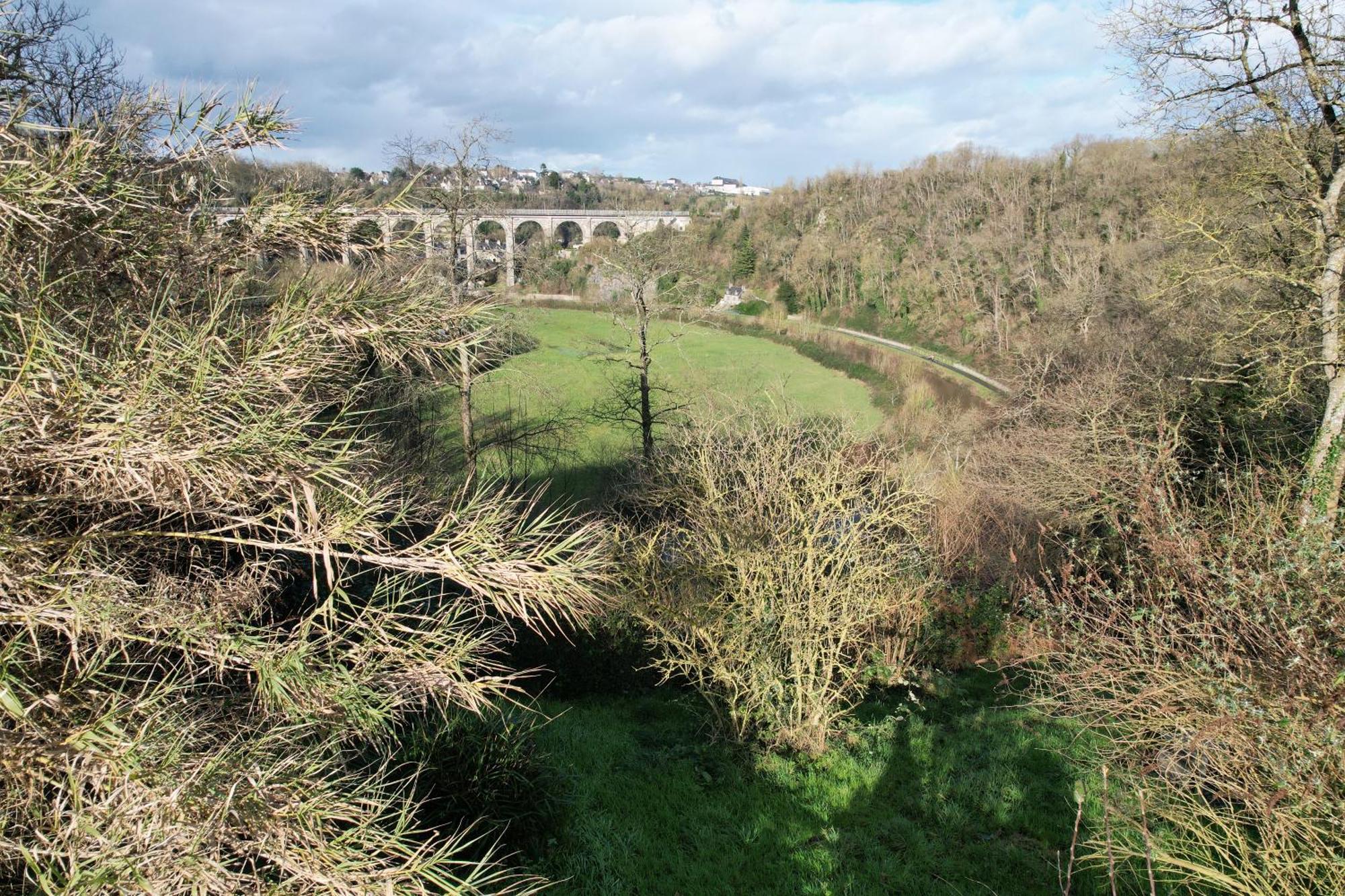 O Bois Dormant- Studio Vue Rance River Et Viaduc De Dinan Lanvallay المظهر الخارجي الصورة