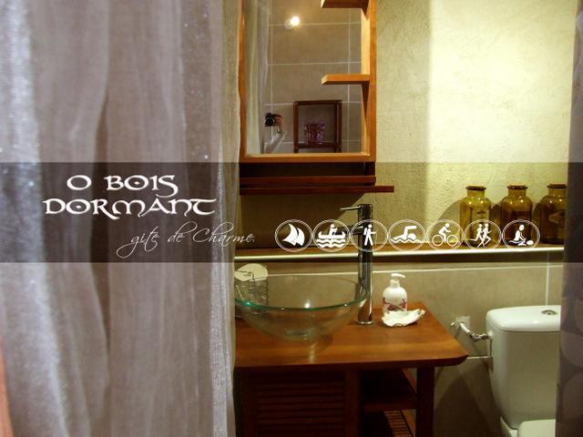 O Bois Dormant- Studio Vue Rance River Et Viaduc De Dinan Lanvallay المظهر الخارجي الصورة