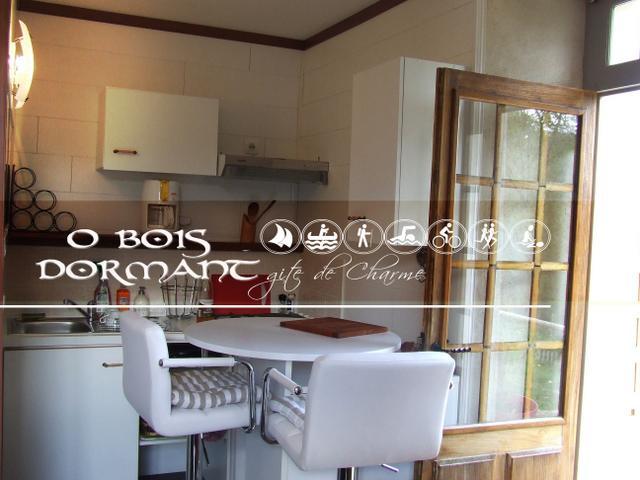 O Bois Dormant- Studio Vue Rance River Et Viaduc De Dinan Lanvallay المظهر الخارجي الصورة